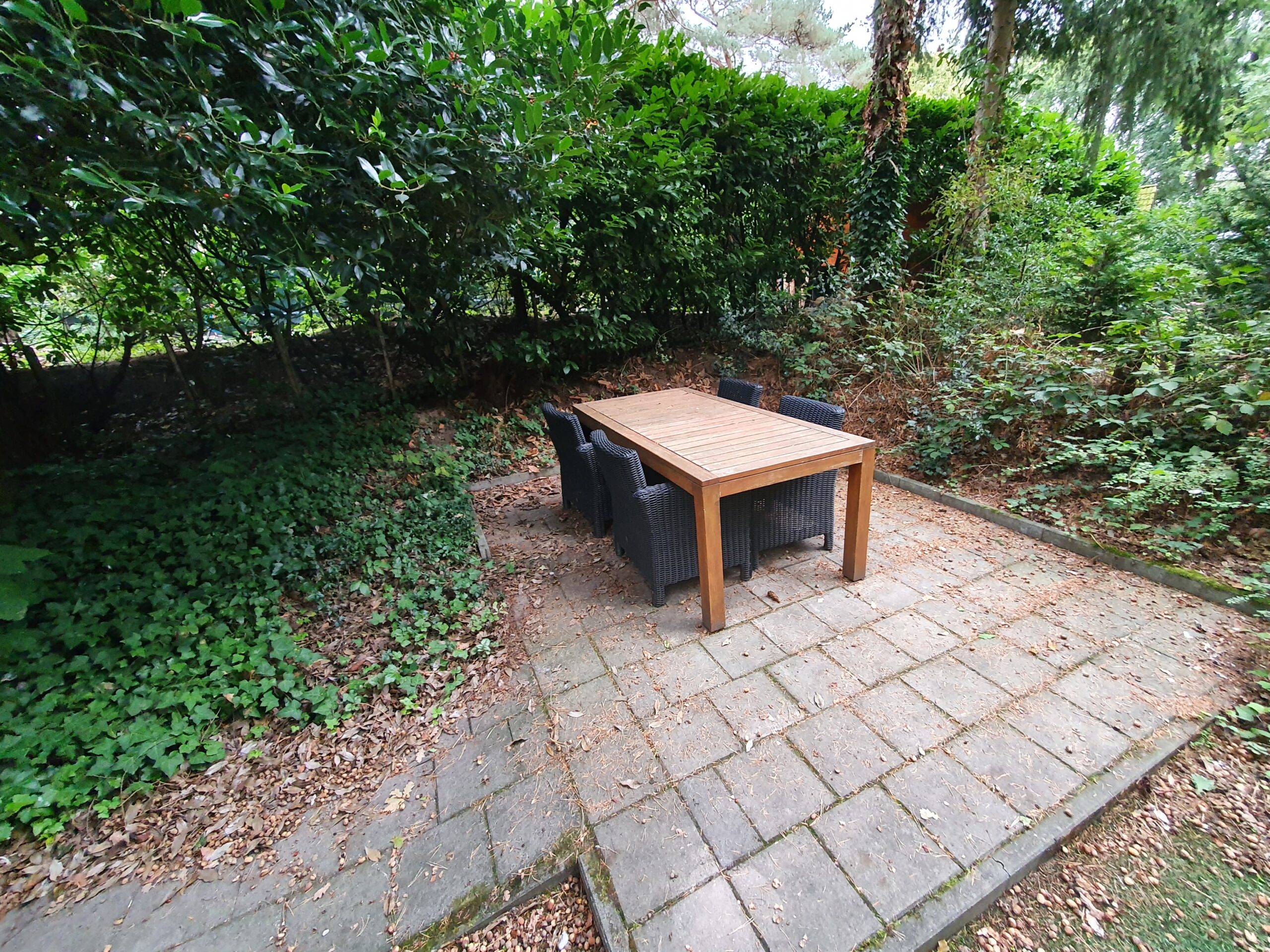 Terras